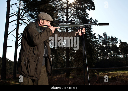 Deer hunter fucile di puntamento a Thetford Forest, Regno Unito Foto Stock