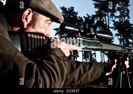 Cacciatore dei cervi pistola di puntamento a Thetford Forest, Regno Unito Foto Stock