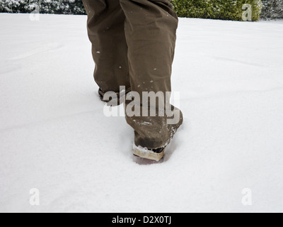 Meteo - Neve NEL REGNO UNITO, Solihull West Midlands Inverno 2013 Foto Stock