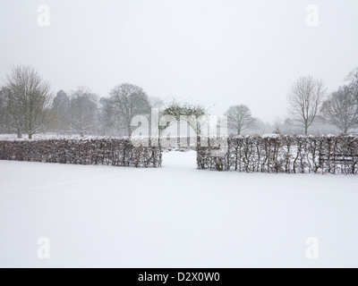 Meteo - Neve NEL REGNO UNITO, Solihull West Midlands Inverno 2013 Foto Stock