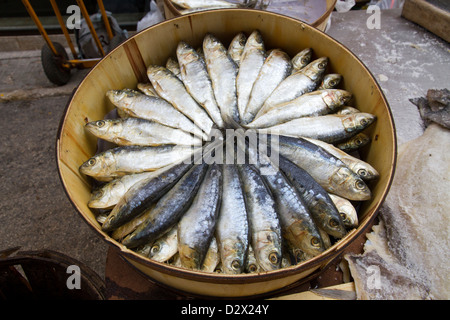 Pesce Sardine Acciughe essiccate in vendita sul mercato locale di Mallorca Spagna Baleari Foto Stock