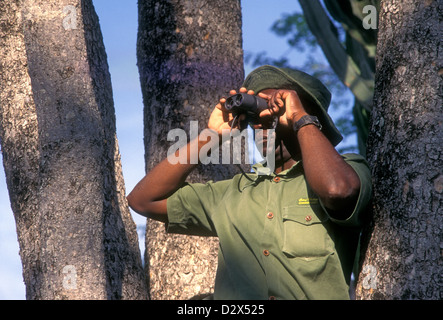 Kenneth Manyangadze, capo scout, scouting per i cacciatori di frodo, salvare Valley Wildlife Conservancy, villaggio di Mahenye, Manicaland Province, Zimbabwe, Africa Foto Stock