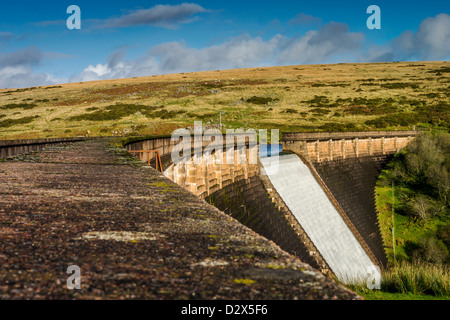 La diga di avon,,dartmoor devon Foto Stock