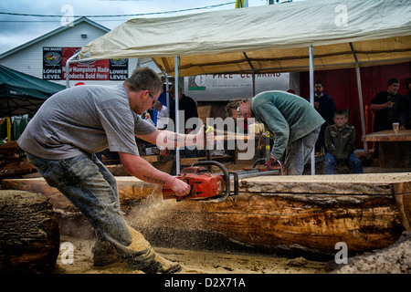 Due moderni logger fresatura di una massiccia log in tavole con segheria portatile Foto Stock