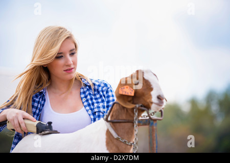 Ragazza adolescente trimming di un show di capra Foto Stock