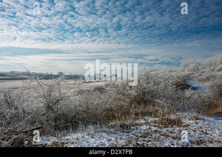 Un inverno nevoso del giorno a stella Pit Riserva Naturale, un ex fossa di mattoni a Dogsthorpe, Peterborough, Inghilterra Foto Stock