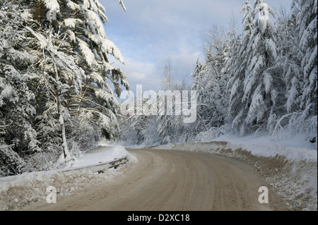 Strada sterrata tra la coperta di neve alberi, Stowe Vermont, USA Foto Stock