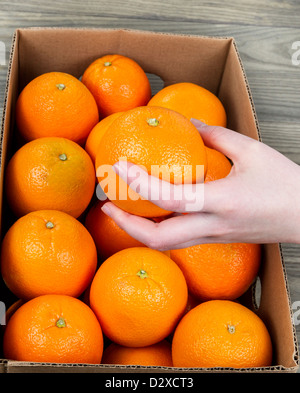 Colpo verticale di femmine della raccolta a mano uno arancione al di fuori della scatola di colore arancione con un tavolo di legno in background Foto Stock