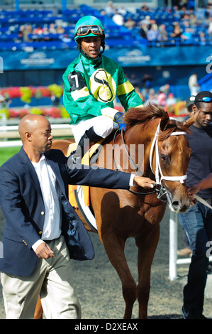 La molla Venture, con jockey P. mariti fa il suo modo dopo una vittoria in finale al Woodbine Race Course in Ontario, Canada su Septe Foto Stock