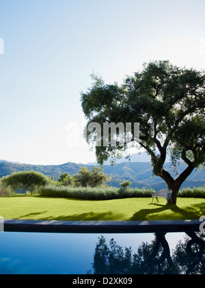 Piscina con vista ad albero e montagne Foto Stock