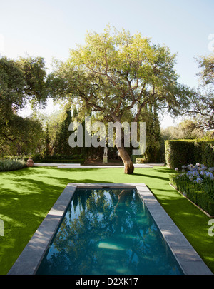 Lap pool in un tranquillo giardino Foto Stock