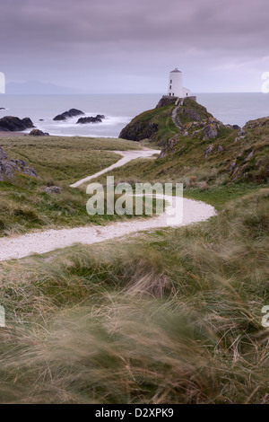 Un percorso tortuoso che conduce verso il faro sul bordo di Llanddwyn Island, Anglesey, Galles. Foto Stock