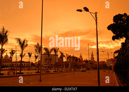 La Colombia, Cartagena, stagliano visualizzazione delle persone sul palm tree road con la Puerta del Reloj al tramonto Foto Stock