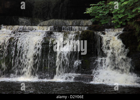 Forza elastica cascata, Fiume Ure, Wensleydale; Yorkshire Dales National Park, England, Regno Unito Foto Stock