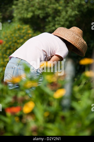 Donna cinese indossando asiatici conica hat, sedge hat, riso hat, paddy hat, giardinaggio presso le rovine di Saint Paul Cathedral, Macao Foto Stock