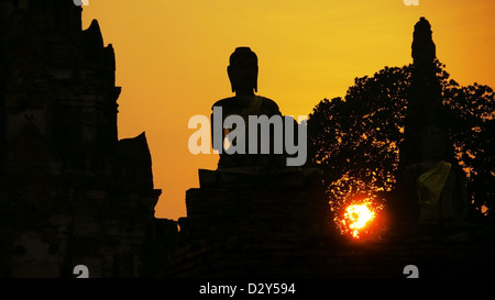 Silhouette della statua del Buddha al Wat Chaiwattanaram, Ayutthaya, Thailandia. Foto Stock