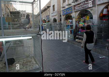 Il concessionario animale street nel Souq Waqif, Doha (Qatar), presa su 09.01.2013. Foto: Peter Kneffel / dpa Foto Stock