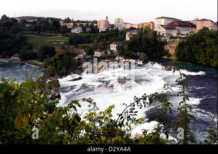 Cascate del Reno, la cascata più alta d'Europa Foto Stock