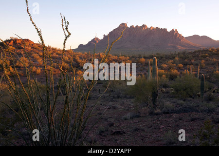 Ironwood monumento nazionale, Ragged Top Mountain in distanza, Arizona Foto Stock