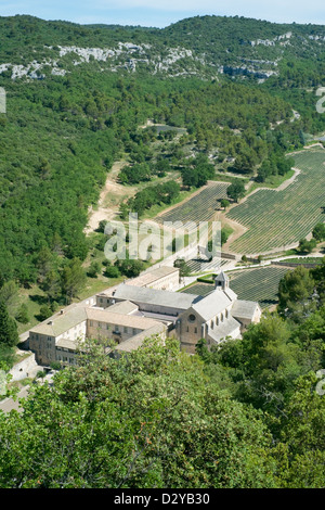 Abbaye de Sénanque vicino a Gordes, Vaucluse, Francia Foto Stock