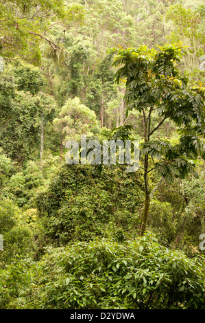 Gamme di confine del Parco Nazionale Foto Stock