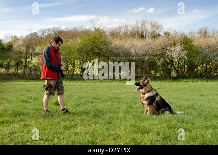 L'uomo insegnare il tedesco il cane pastore per sedersi Foto Stock