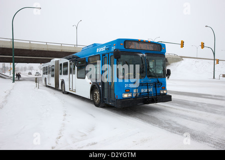 Saskatoon transit bus viaggiano lungo la 8th street nella neve Saskatchewan Canada Foto Stock