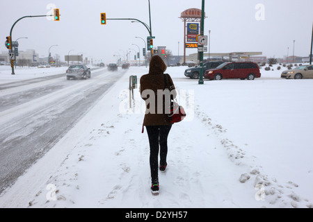 Donna che cammina lungo la 8th street in condizioni di blizzard Saskatoon Saskatchewan Canada Foto Stock