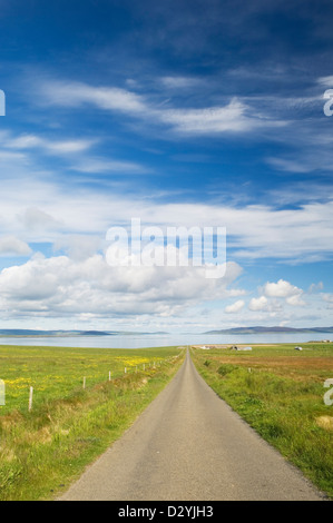 Via attraverso superfici agricole verso il mare dell'isola di Shapinsay, Orkney Islands, Scozia. Foto Stock