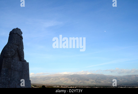 Israele, Galilea superiore, Tel Hai il leone ruggente un monumento in onore di Yosef (Giuseppe) Trumpeldor e amici Foto Stock