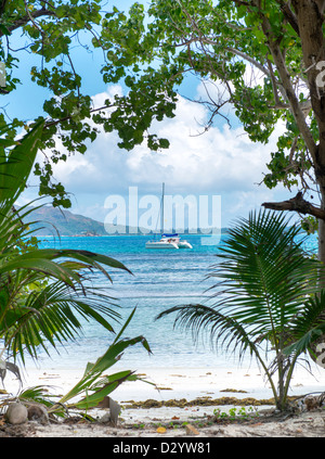 Isola di Curieuse, Seychelles Parchi nazionali Foto Stock