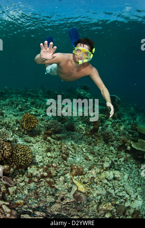 Uomo in subacquee snorkeling maschera, il mare dei Caraibi, Maldive Foto Stock