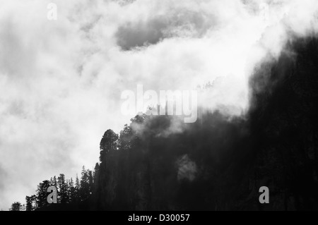 Picco di montagna con gli alberi sul picco avvolta nelle nuvole, Himalaya Foto Stock