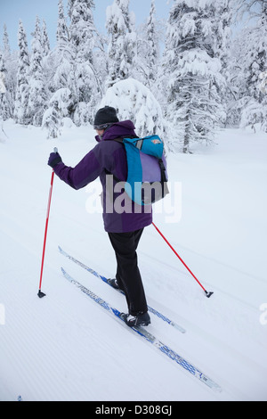 Cross Country sciatore Pallas-Yllästunturi Parco Nazionale vicino a Yllas in Lapponia finlandese Finlandia Foto Stock