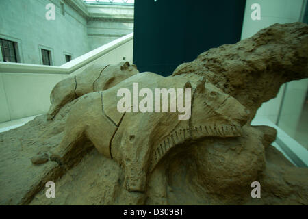 Londra REGNO UNITO .5 febbraio 2013. Ice Age Arte Arrivo della mentalità moderna presso il British Museum è una mostra con le sculture e i pezzi in avorio mammut e corna di renne provenienti da tutta Europa creata risalente all'ultima glaciazione tra 10.000 e 40.000 anni fa. Credito: amer ghazzal / Alamy Live News Foto Stock