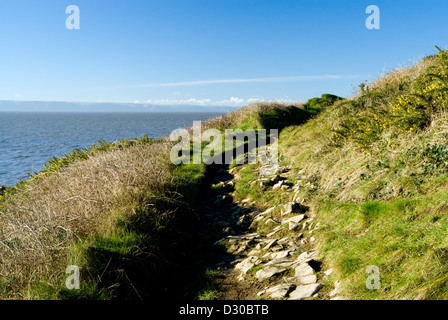 Tutti galles sentiero costiero col huw llantwit major Vale of Glamorgan Galles del Sud Foto Stock