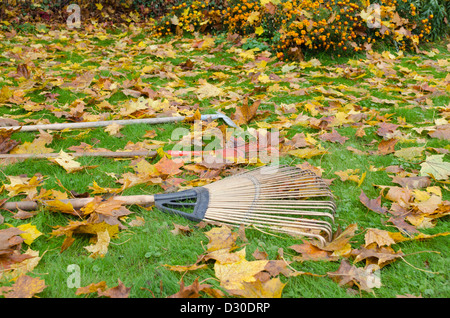 Vari strumenti di rake giacciono sul prato di autunno suolo coperto di sacco di foglie colorate in giardino. Foto Stock