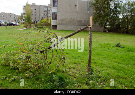 Rotture di piccola struttura decorativa vicino a blocco piatto case dopo la tempesta. Foto Stock