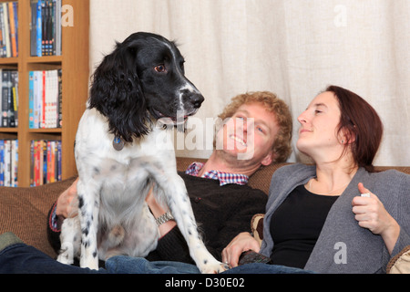 Scena quotidiana di due persone sedute su un divano sorridente in un inglese Springer Spaniel cane sat sul loro giro in un soggiorno a casa Inghilterra REGNO UNITO Foto Stock