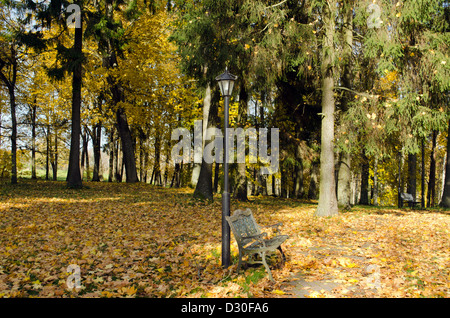 Palo di illuminazione e retro banco in acciaio in autunno park coperto con colorate foglie d'arancio. Foto Stock