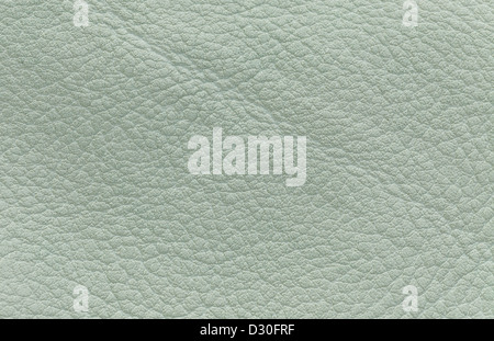 Alta risoluzione texture della pelle colorata in turchese pallido Foto Stock