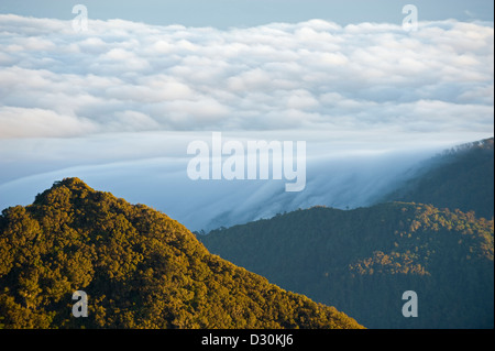 Vista dalla cima del Volcan Baru, Panama Foto Stock