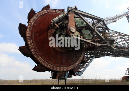 Grossraeschen, Germania, benna Foto Stock