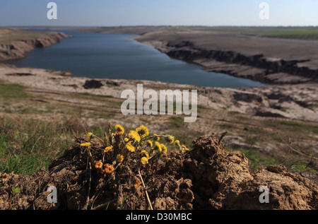 Grossraeschen, Germania, affacciato sul futuro Ilsesee Foto Stock