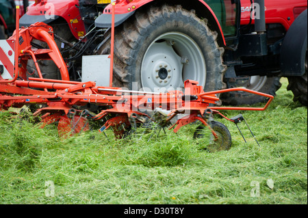 Trattore Massey Ferguson con un'erba tedder lavorando nella nuova erba falciata. Foto Stock