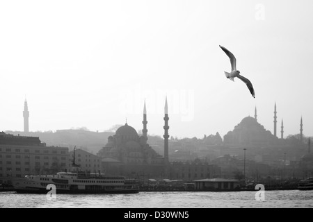 ISTANBUL TURCHIA - Seagull sulla Torre Beyazit, Moschea Nuova (Yeni Camii), Suleyman Moschea Suleymaniye (Camii) in Eminönü, Golden Horn Foto Stock