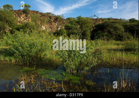 Scogliere di arenaria a Ruko Comunità Wildlife Conservancy, Lake Baringo, Kenya Foto Stock