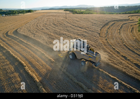 Agricoltore il grano raccolto utilizzando mietitrebbia, sud della Francia Foto Stock