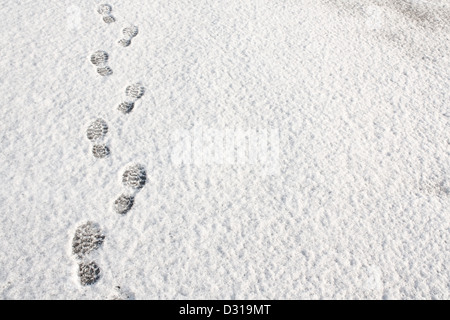 Orme nella neve fresca sfondo grande concetto per calzatura invernale Foto Stock