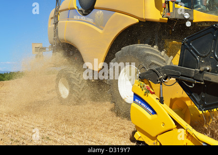 Mietitrebbia in campo di grano in estate, Francia Foto Stock